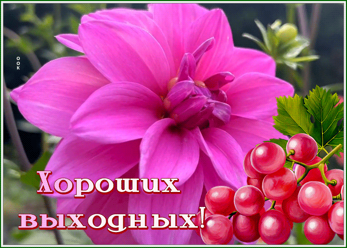 Postcard 1