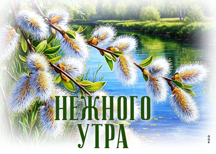 Picture абстрактная гиф-открытка, нежного утра