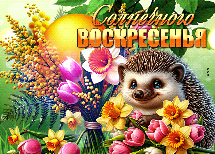 Picture аккуратная гиф-открытка, солнечного воскресенья