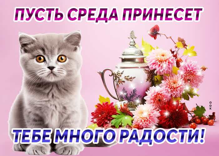 Postcard аккуратная открытка, много радости от среды