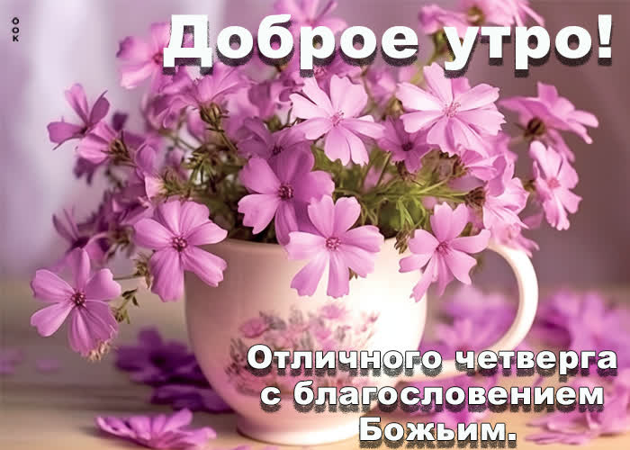 Picture аккуратная открытка желает отличного четверга