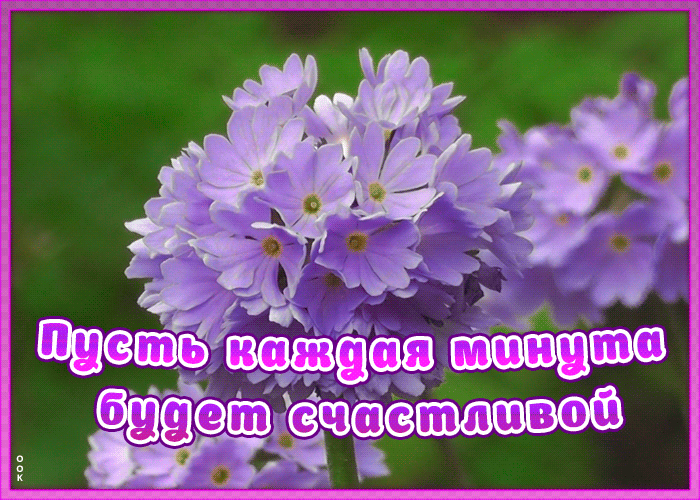 Картинка анимационная картинка с пожеланием