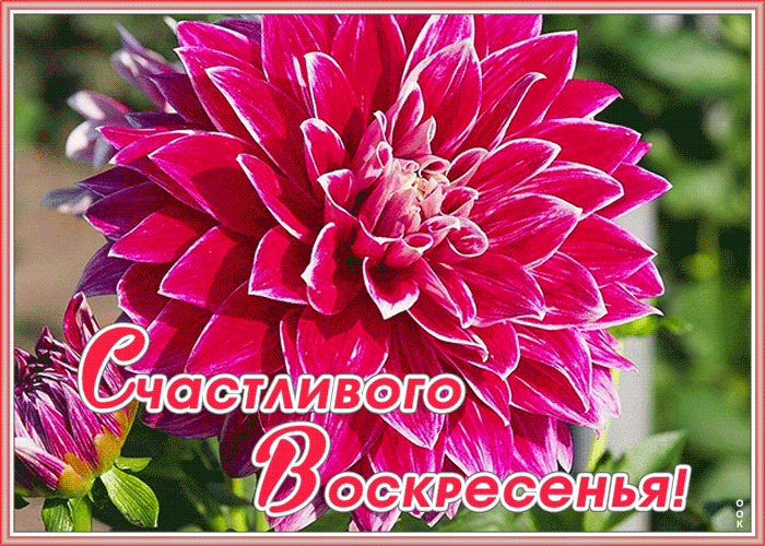 Открытка анимационная картинка с с воскресеньем