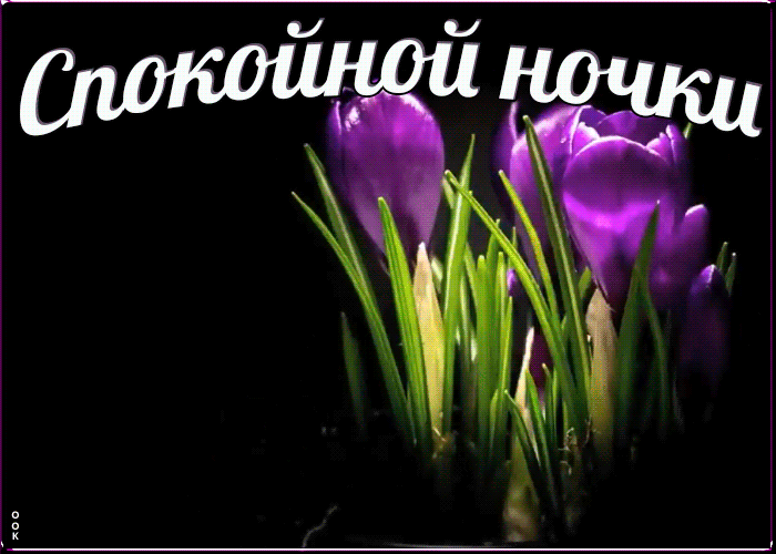Картинка анимационная картинка спокойной ночи