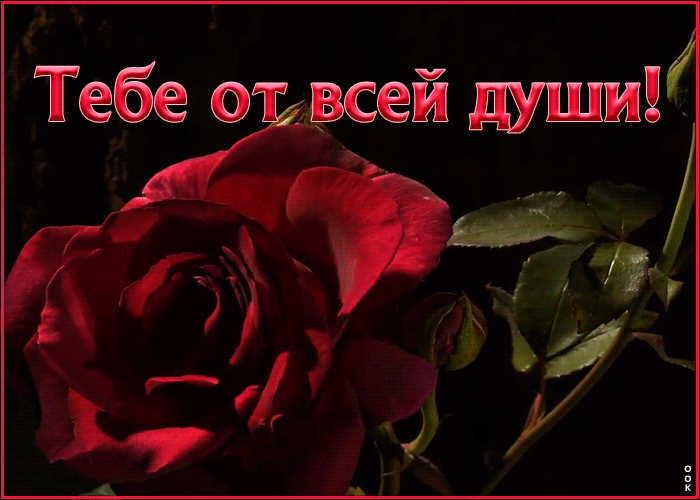 Картинка анимация с розой от души