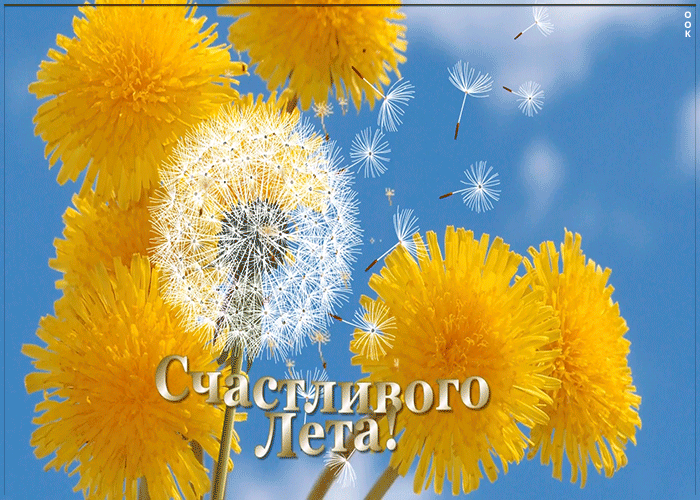 Картинка анимация счастливого лета