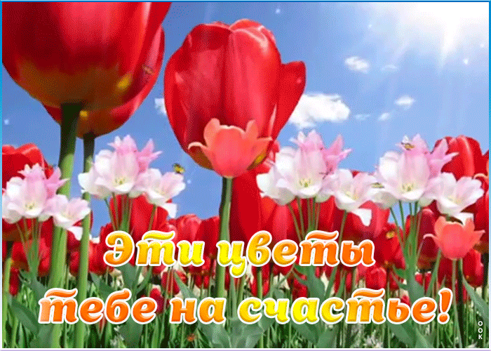 Картинка анимация цветы на счастье