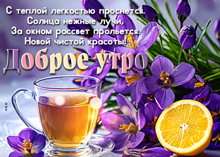 Postcard ароматная гиф-открытка, с теплым и добрым утром