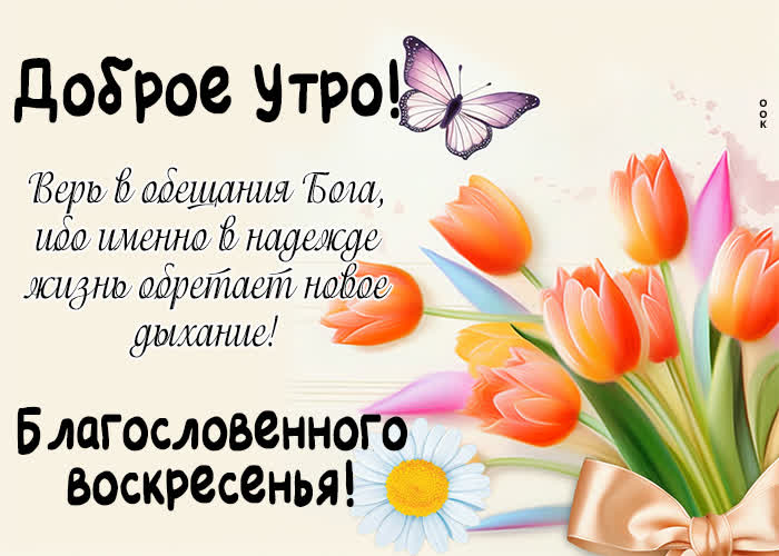 Postcard атмосферная открытка с благословенным воскресеньем