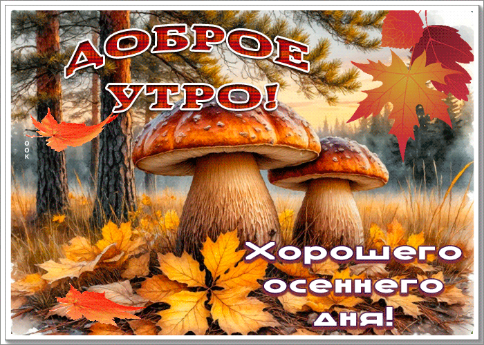 Postcard благословенная гиф-открытка, доброе утро и хорошего осеннего дня