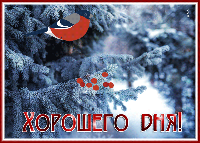 Picture блестящая картинка хорошего дня с зимой и птичкой