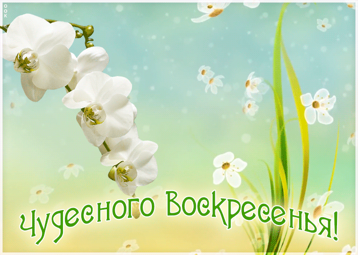 Картинка чудесного воскресенья