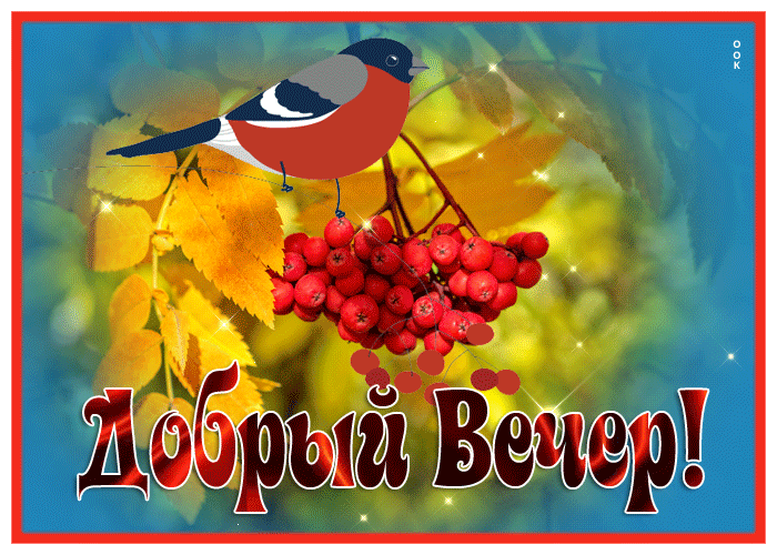 Postcard чудесная картинка добрый вечер с птичкой и рябиной