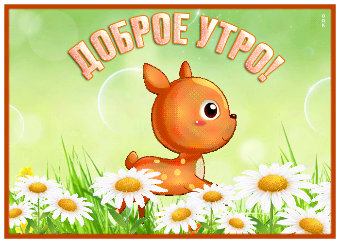 Picture чудесная открытка доброе утро с полем ромашек
