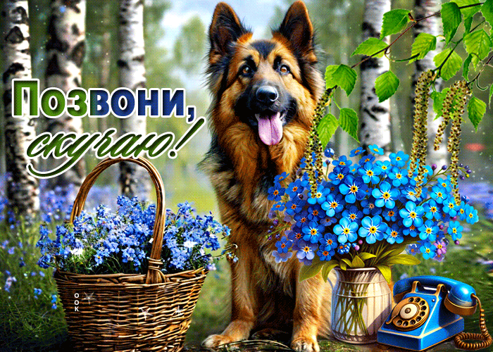 Picture чувствительная гиф-открытка, позвони, скучаю