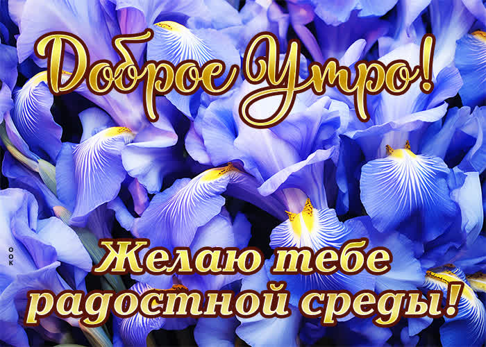 Postcard цветущая открытка с радостной средой