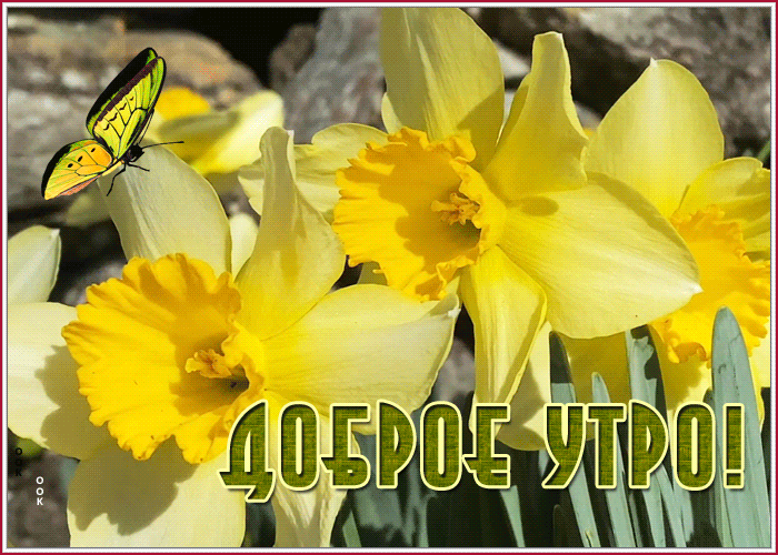 Картинка дивная картинка доброе утро
