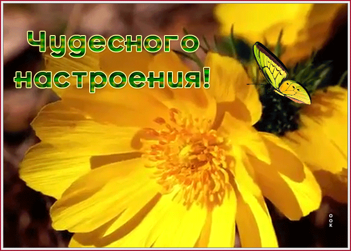 Картинка дивная открытка хорошего настроения