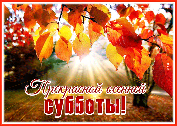 Postcard дивная открытка с пожеланием прекрасной осенней субботы