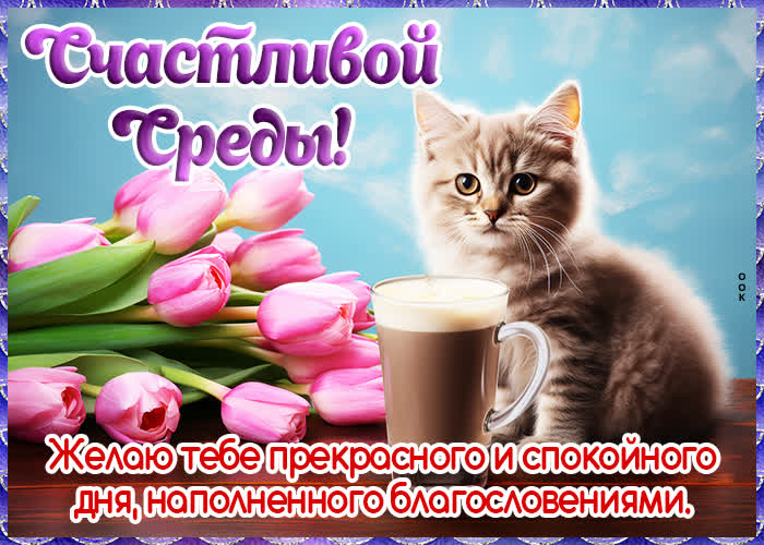 Picture добродушная открытка,  прекрасной и спокойной среды