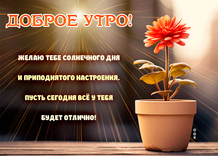 Picture доброе утро! желаю тебе солнечного дня и приподнятого настроения