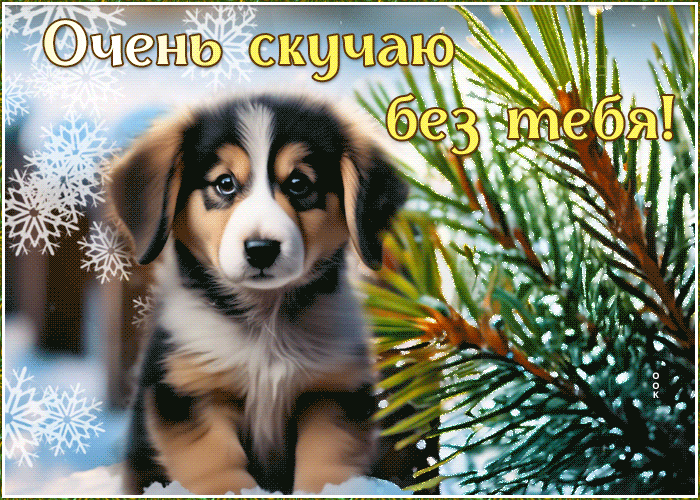 Picture душевная гиф-открытка с щенком, скучаю по тебе