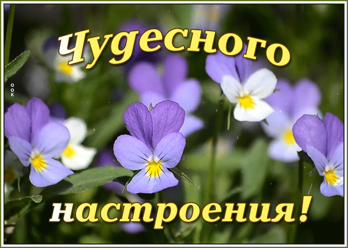 Картинка движущаяся картинка для настроения