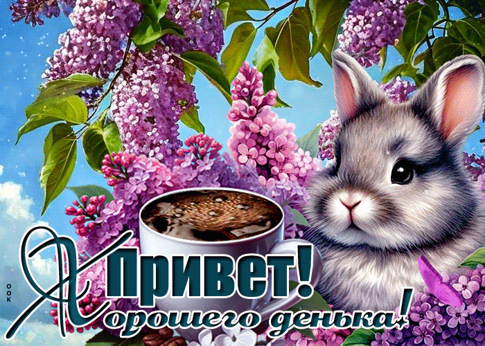 Postcard гармоничная гиф-открытка, привет и хорошего денька