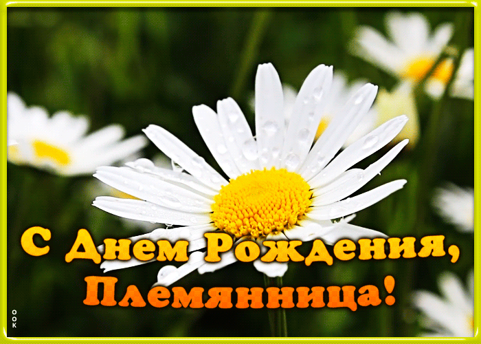 Картинка гиф картинка с днем рождения племяннице