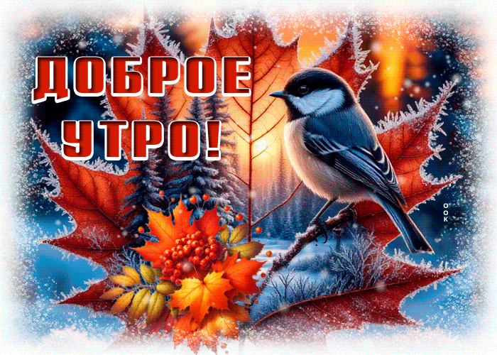 Picture греющая гиф-открытка, пусть прекрасным будет утро