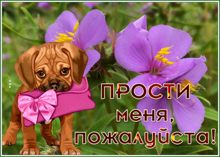 Picture интересная открытка прости меня, пожалуйста