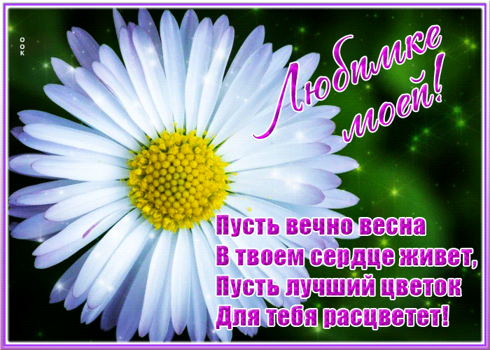 Открытка интересная открытка с ромашкой
