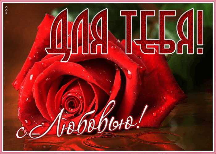 Картинка интересная открытка с розами