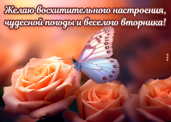 Postcard исключительная открытка желаю веселого вторника