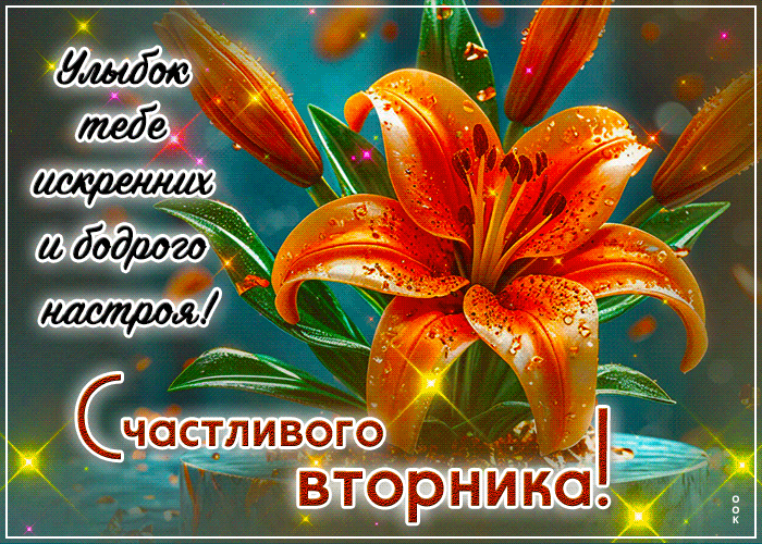 Picture искреннейшая гиф-открытка, счастливого вторника