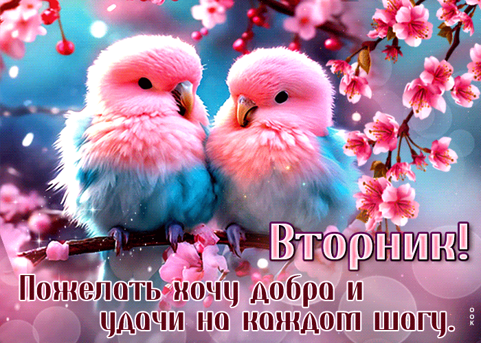 Postcard искренняя гиф-открытка желает добра и удачи в этот вторник