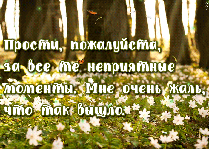 Картинка искренняя открытка прости