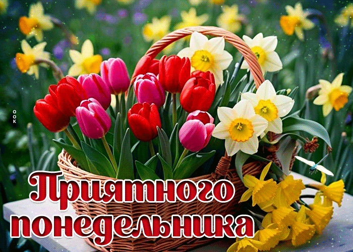 Postcard каллиграфическая гиф-открытка, приятного понедельника