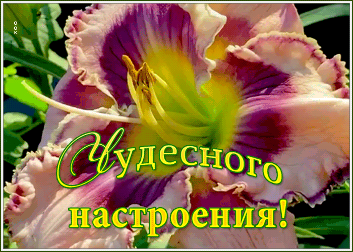Картинка картинка чудесного настроения в любую погоду