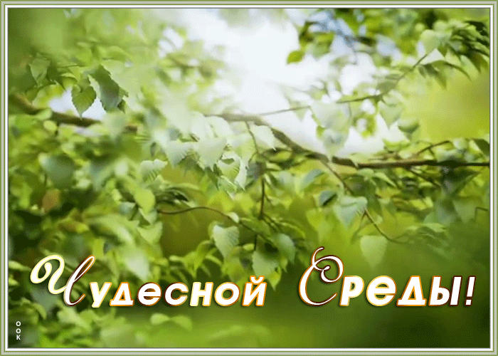 Картинка картинка чудесной среды
