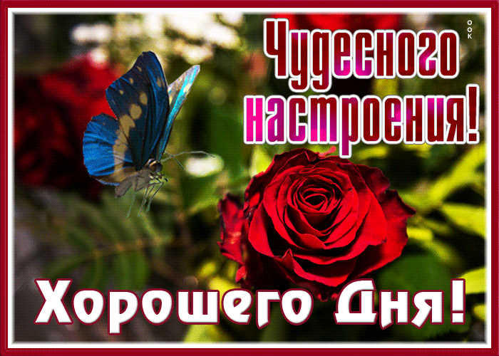 Picture картинка чудесного настроения и хорошего дня
