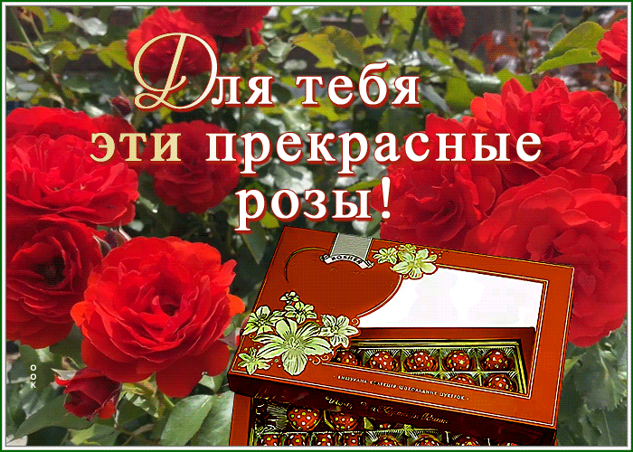 Postcard с цветами