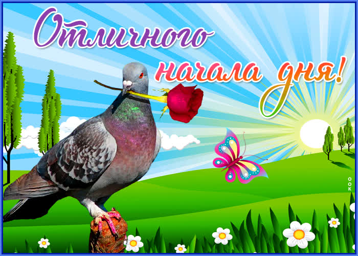 Открытка картинка доброе утро и хорошего дня