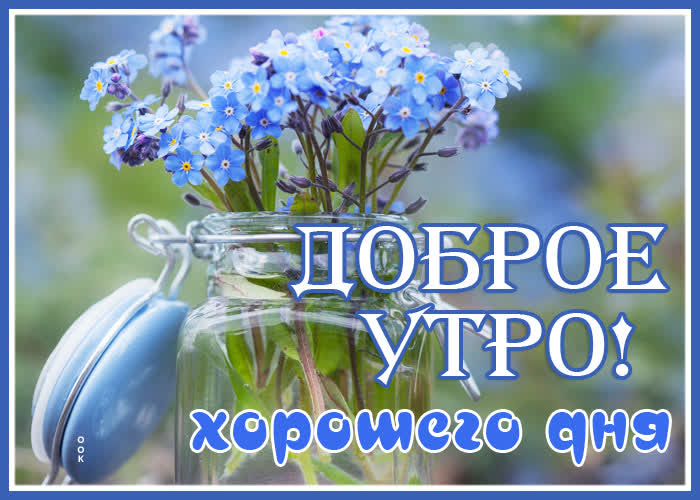 Картинка картинка доброе утро клевого дня
