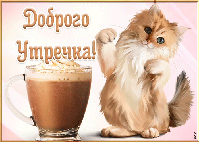 Открытка картинка доброе утро с котиком