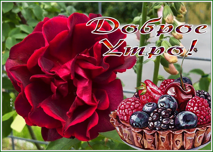 Postcard картинка доброе утро с яркой розой и пирожным