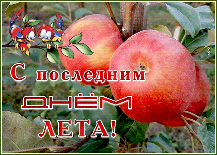 Картинка картинка гиф последний день лета
