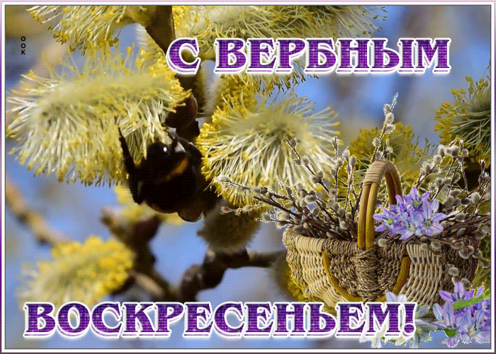 Открытка картинка гиф с вербным воскресеньем