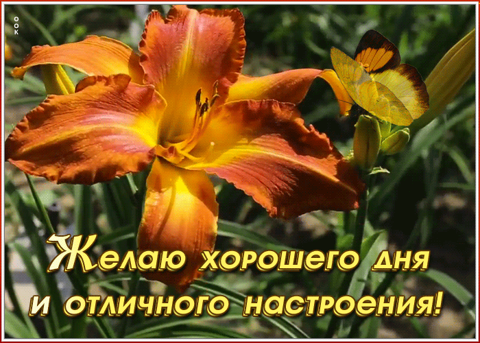 Картинка картинка хорошего дня и отличного настроения