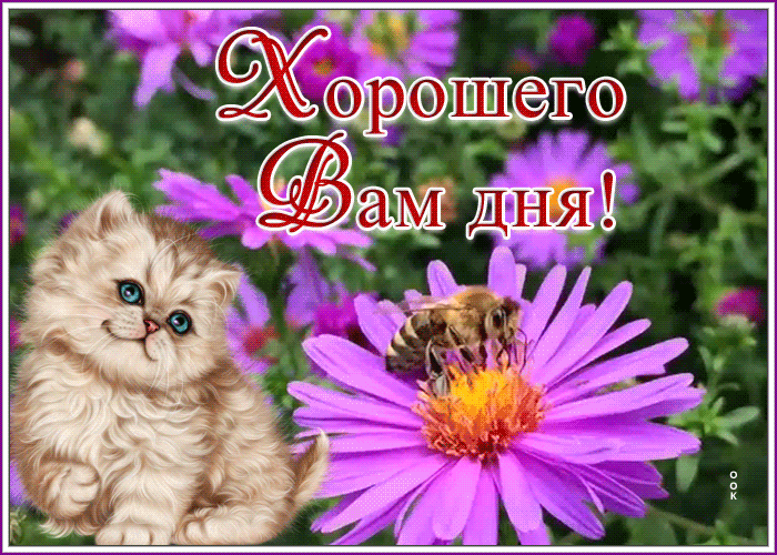 Картинка картинка хорошего и удачного дня